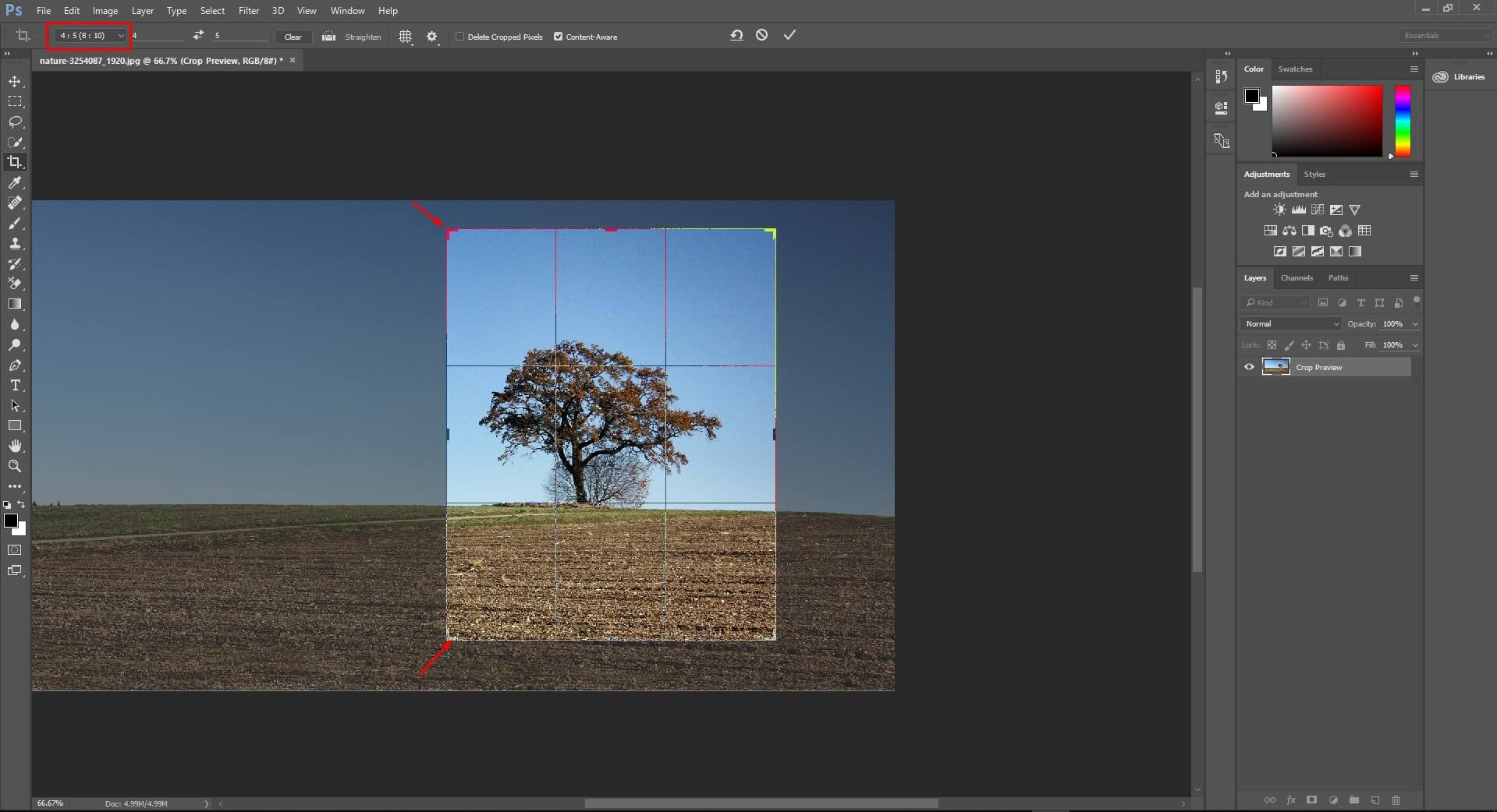 Cropping tool and Straighten Images