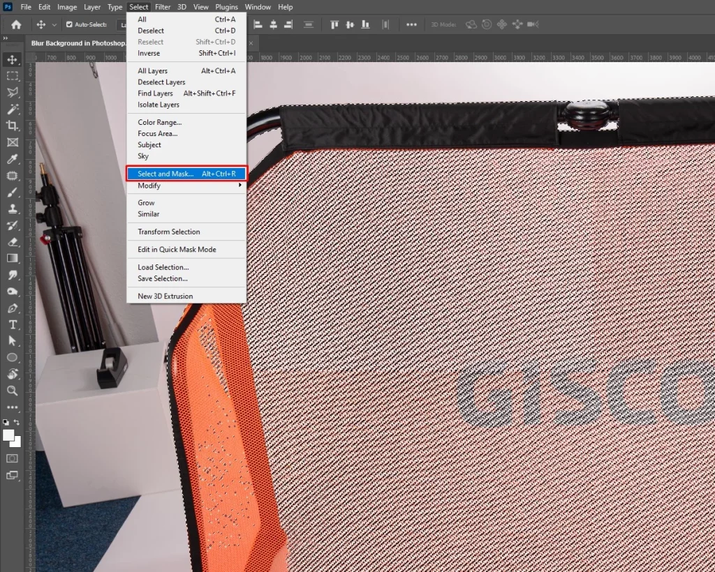 Select and mask the main subject