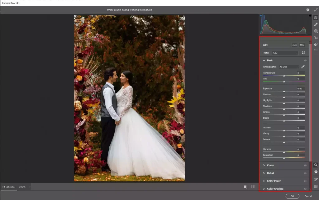 Fix the white balance and exposure of the image