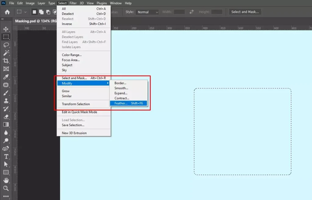 Make a selection modify