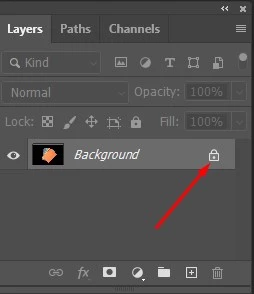 Select the Quick Selection Tool