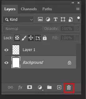 Remove or hide the background layer