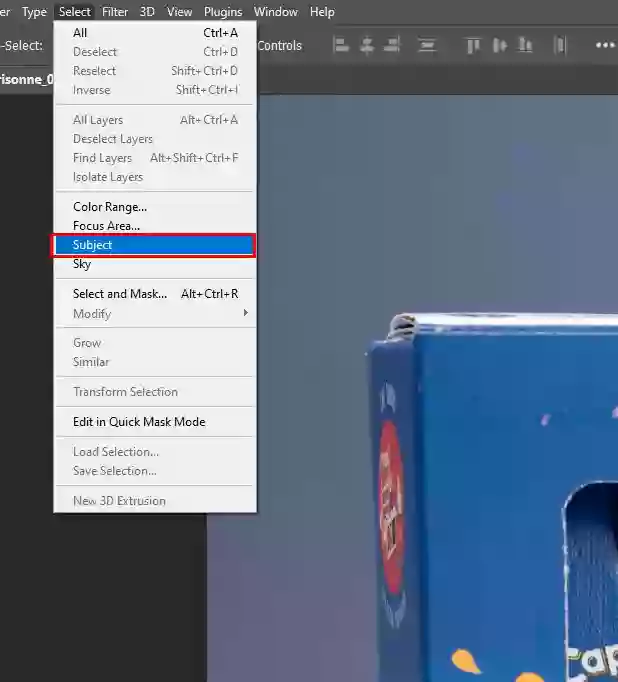 Select the main subject