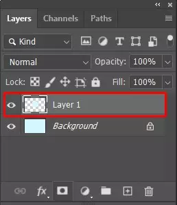 Turn the selection into a layer