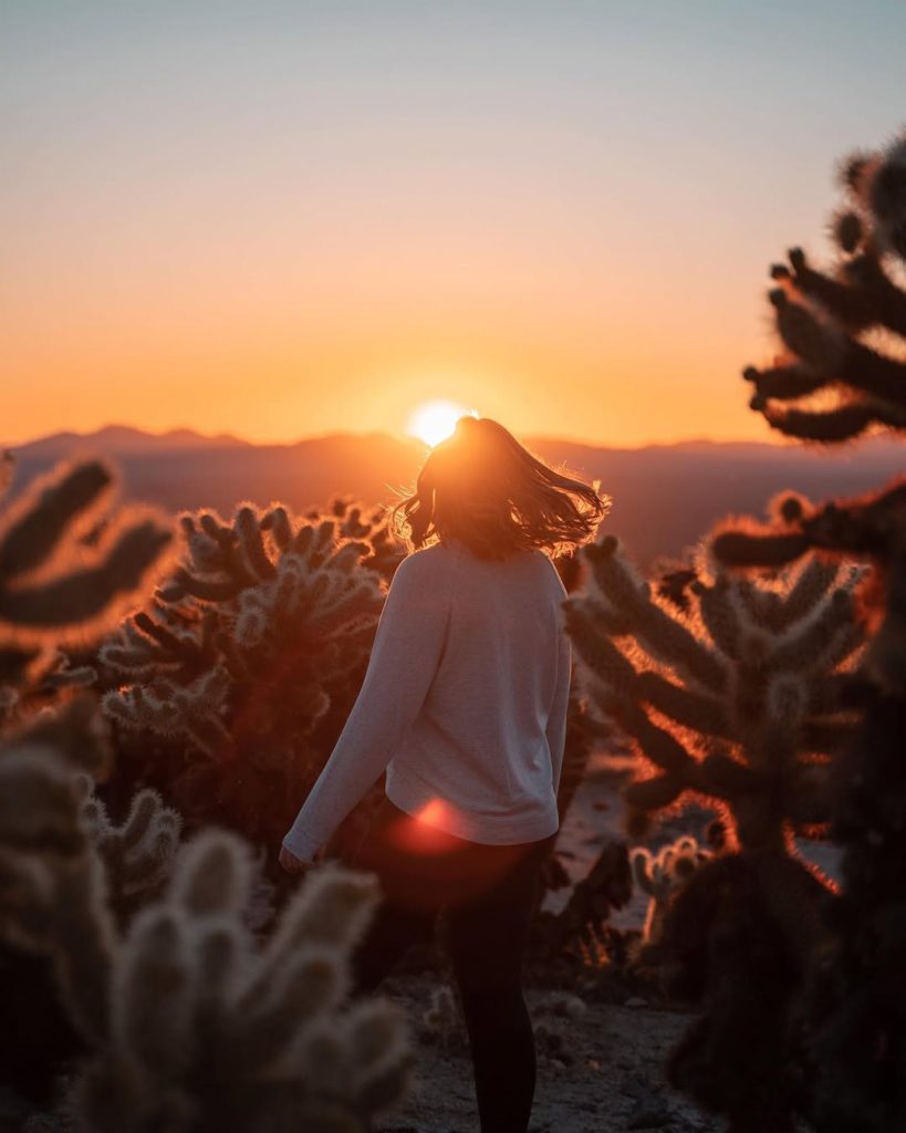 Desert