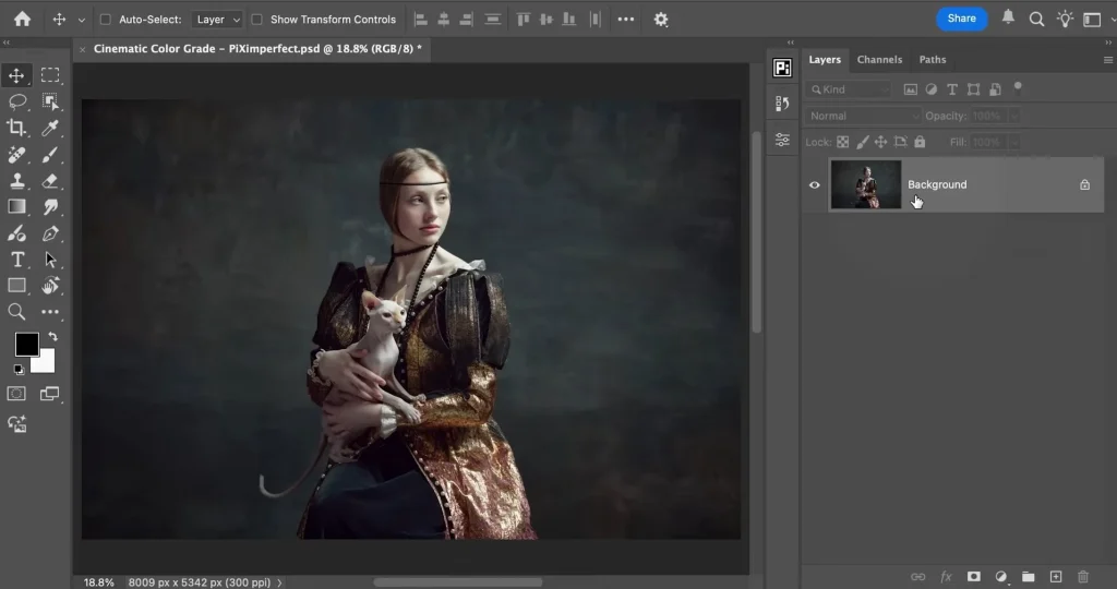 Portrait photo with a dark cinematic cool-tone color grade in Photoshop