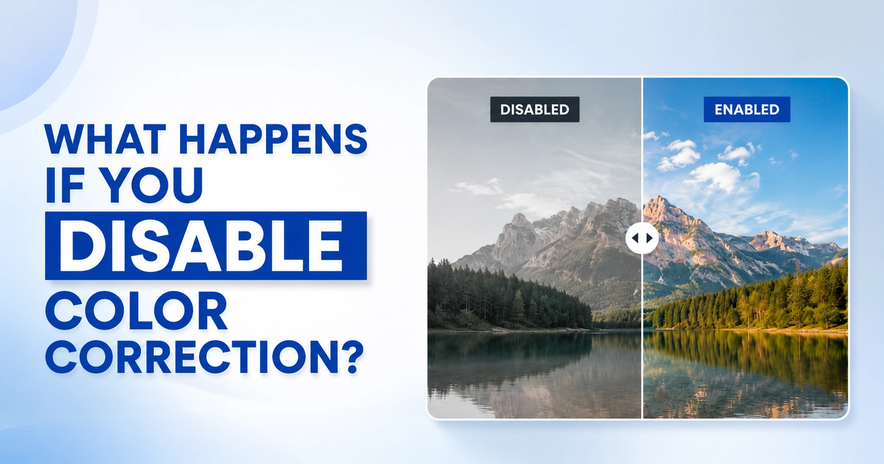 disable-color-correction-effects What happens when color correction is disabled