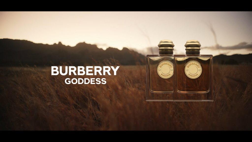 Commercial_Video_5