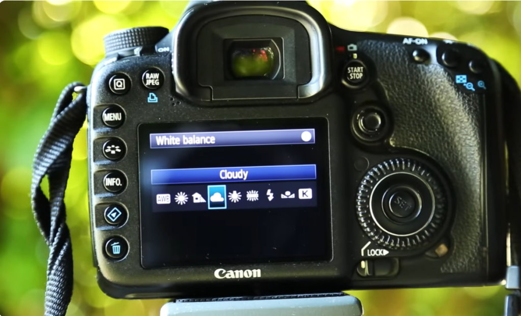 Canon camera white balance settings set to Cloudy for sports photography.