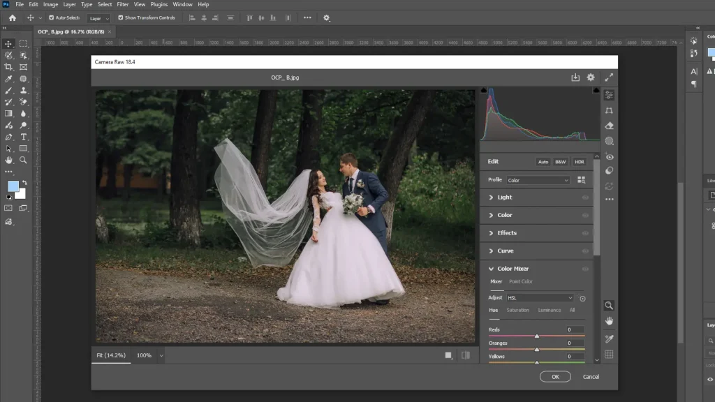 Camera Raw Filter in Photoshop