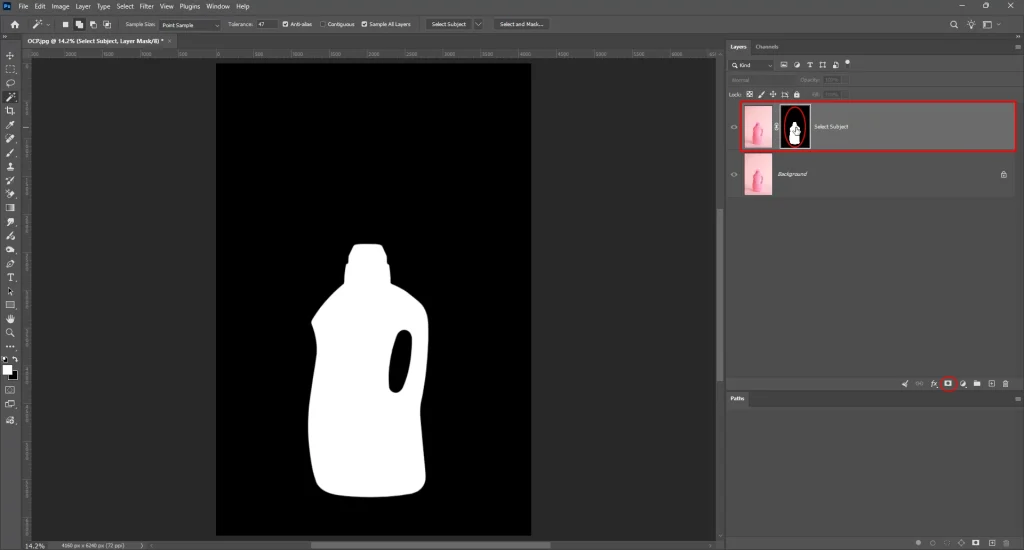 Layer mask generated from Select Subject shown in Photoshop Layers panel