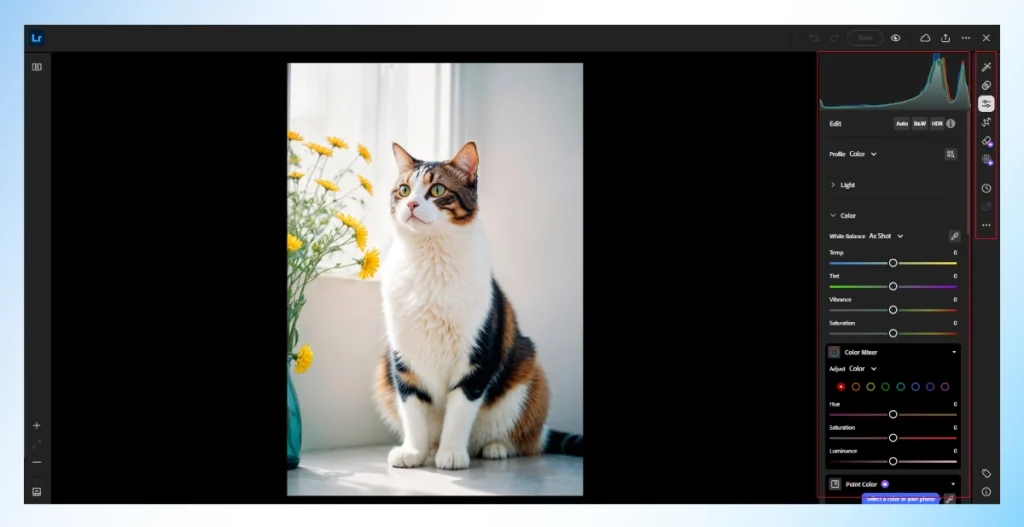 Adobe Lightroom desktop edit panel with color sliders and histogram open on a cat photo