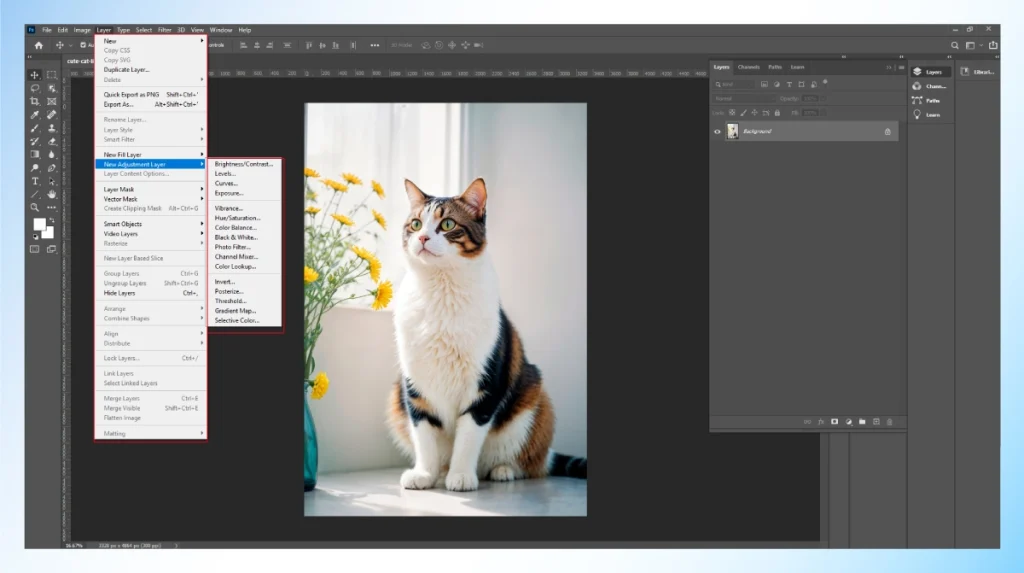 Adobe Photoshop Layer menu showing New Adjustment Layer options for correcting a cat photo