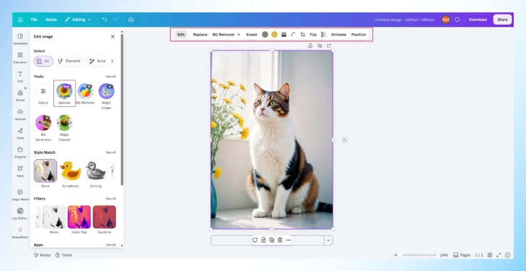 Canva Edit image panel with the Upscale tool highlighted for enhancing a cat photo