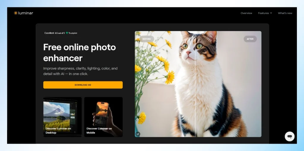 Luminar free online photo enhancer showing a before and after of an AI-enhanced cat photo