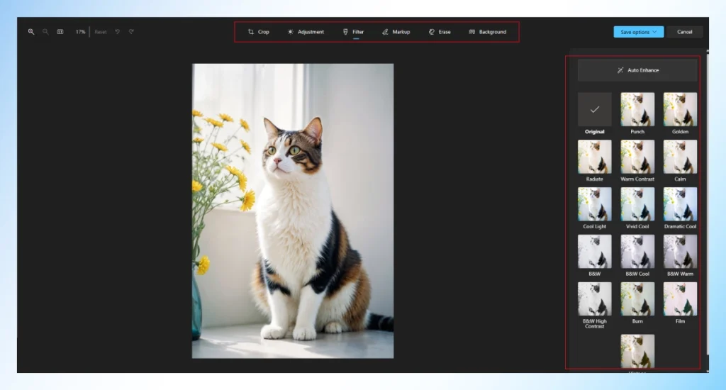 Microsoft Photos app on Windows showing the Auto Enhance button and filter presets for a cat photo