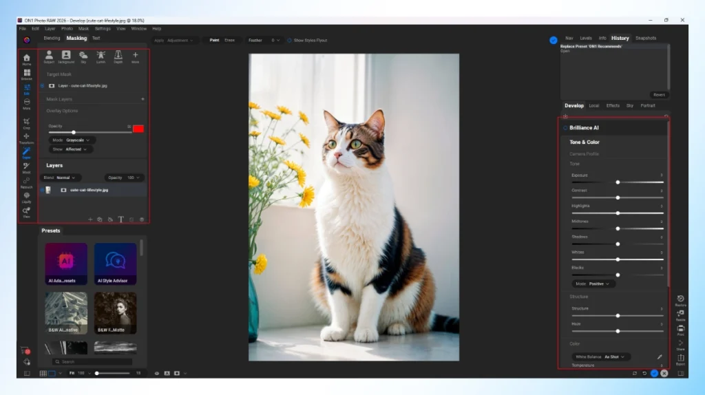 ON1 Photo RAW Develop module with Brilliance AI tone and color sliders open on a cat photo