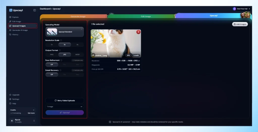 Upscayl dashboard with the Upscayl Standard model and 4x resolution scale selected for a cat photo