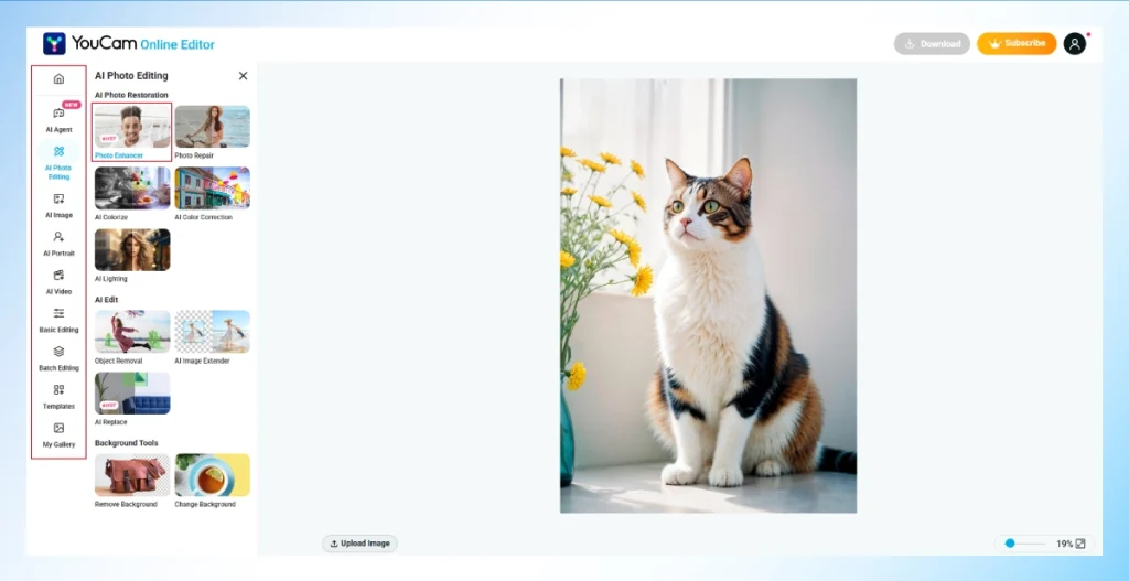 YouCam Online Editor with the Photo Enhancer tool selected under AI Photo Editing